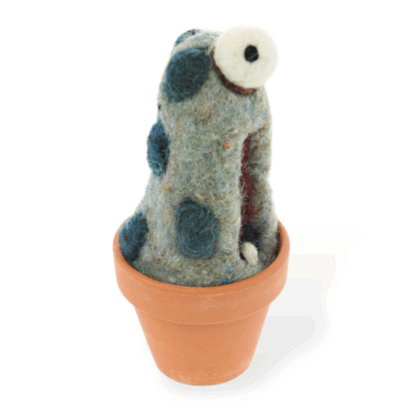 Cyclopes Plant (min. order qty 3 required) - Image 3
